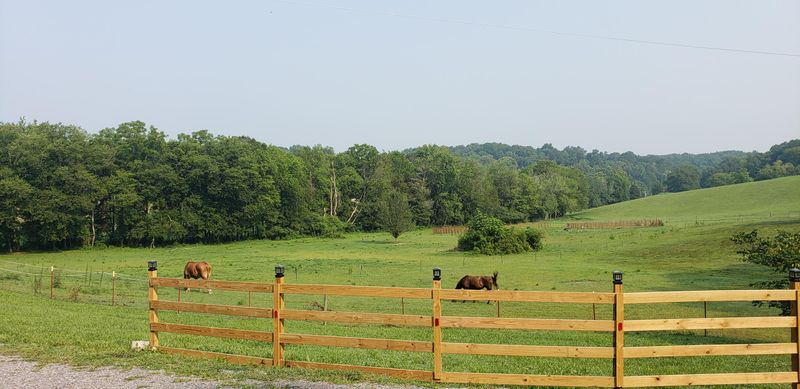 6201 Steekee Creek Rd, Loudon, TN 37774