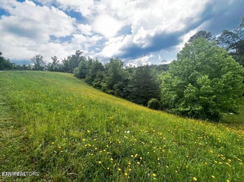 6219 Outlook Tr, Russellville, TN 37860