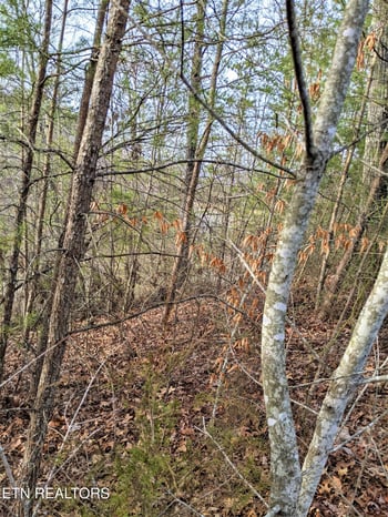 6220-6224 Outlook Tr, Russellville, TN 37860