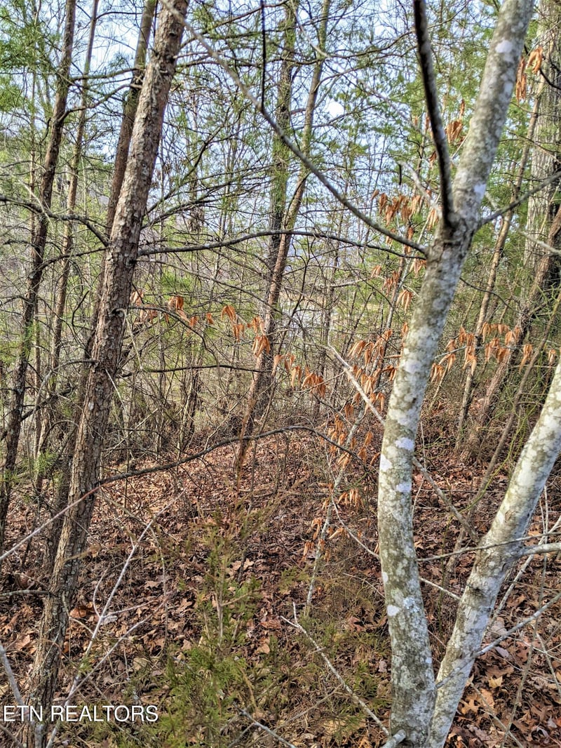 6220-6224 Outlook Tr, Russellville, TN 37860