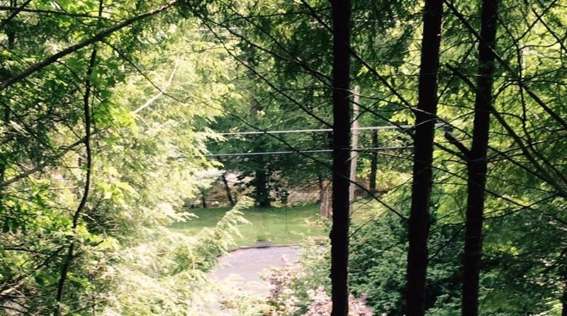 6225 Old Walland Hwy, Walland, TN 37886