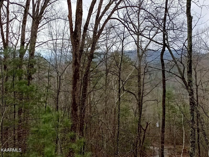 6244 Happy Valley Loop, Tallassee, TN 37878