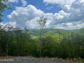 625 Cane Creek Mountain Rd, Tellico Plains, TN 37385