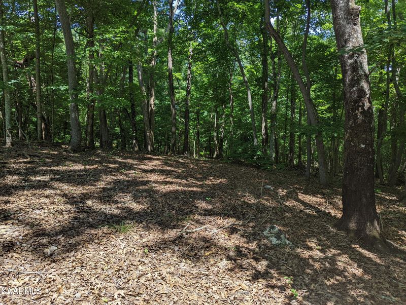 625 Thomas Ln, Kingston, TN 37763