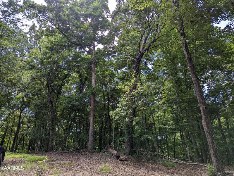 625 Thomas Ln, Kingston, TN 37763