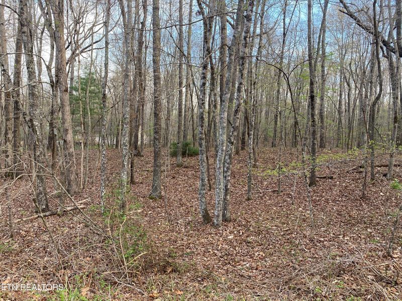 6250 Osage Rd, Crossville, TN 38572