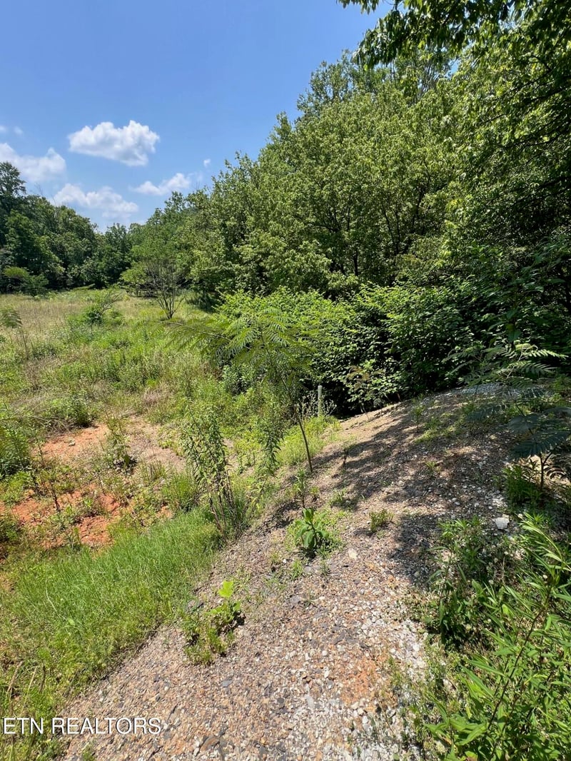 626-632 Briceville Hwy, Rocky Top, TN 37769