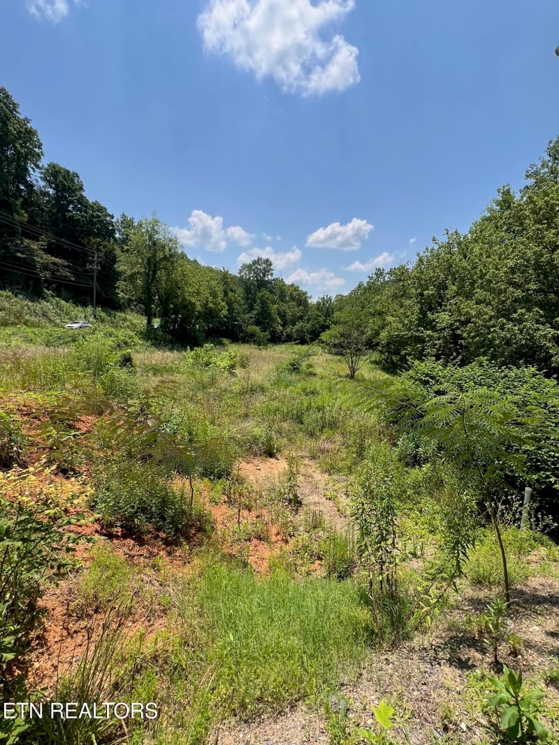 626-632 Briceville Hwy, Rocky Top, TN 37769