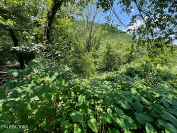 626-632 Briceville Hwy, Rocky Top, TN 37769