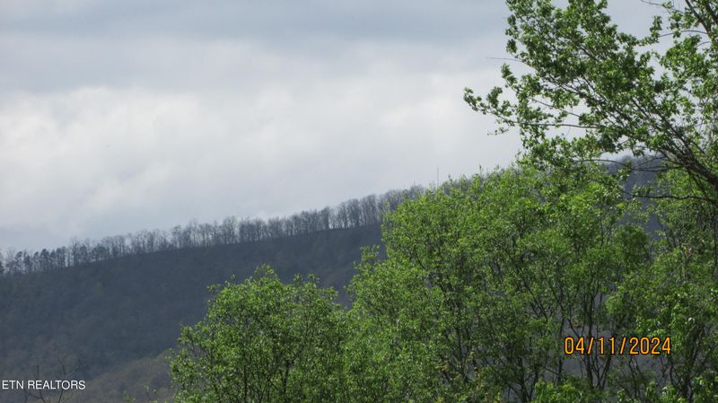 627 - 625 E Evans St, Rockwood, TN 37854