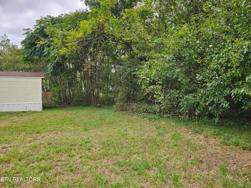 627 W Strang St, Rockwood, TN 37854