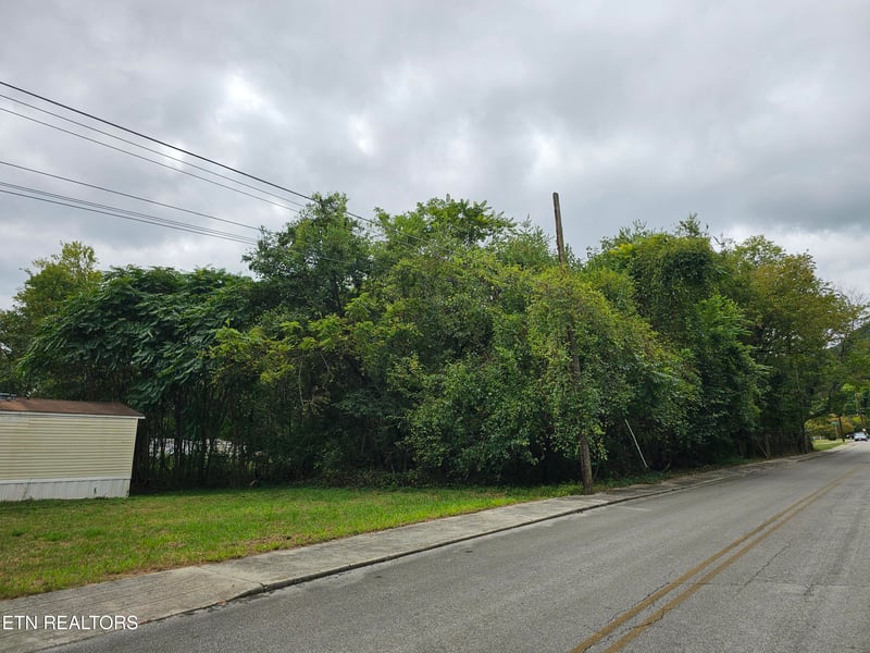 627 W Strang St, Rockwood, TN 37854