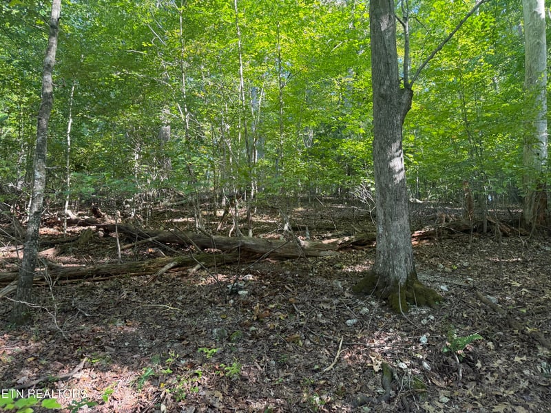 63 Cove Norris Rd, Caryville, TN 37714