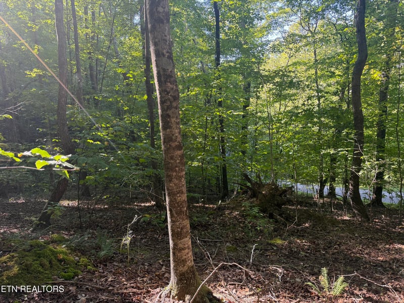 63 Cove Norris Rd, Caryville, TN 37714