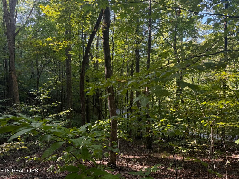 63 Cove Norris Rd, Caryville, TN 37714