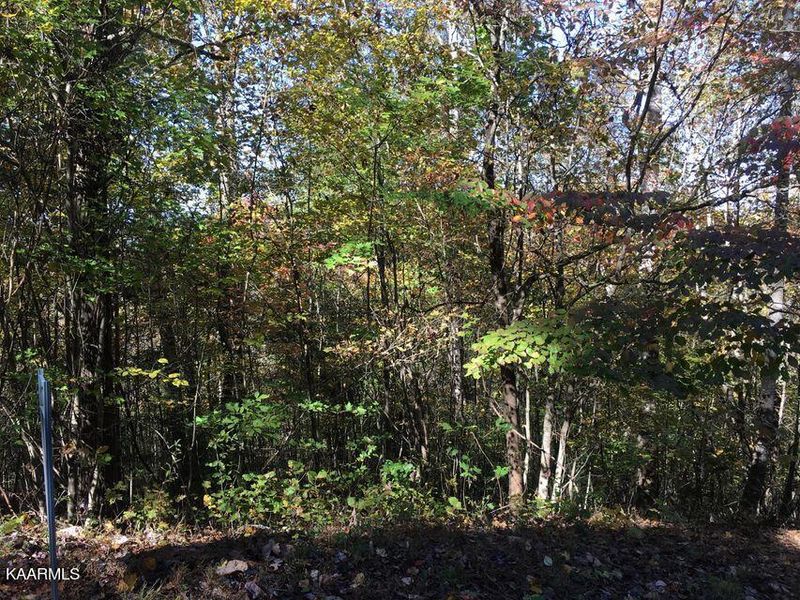 63 Overlook Trail Tr, Maynardville, TN 37807