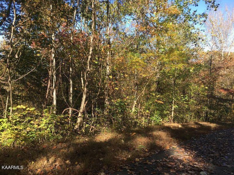 63 Overlook Trail Tr, Maynardville, TN 37807