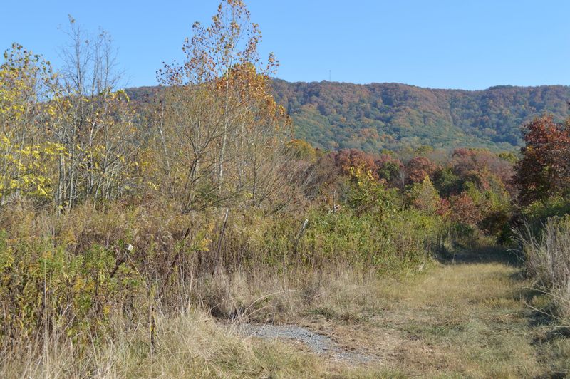 6348 Stephens Quarry Ln, Corryton, TN 37721