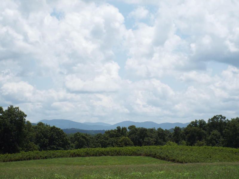 635 Pilot Mountain Rd, Sunbright, TN 37872