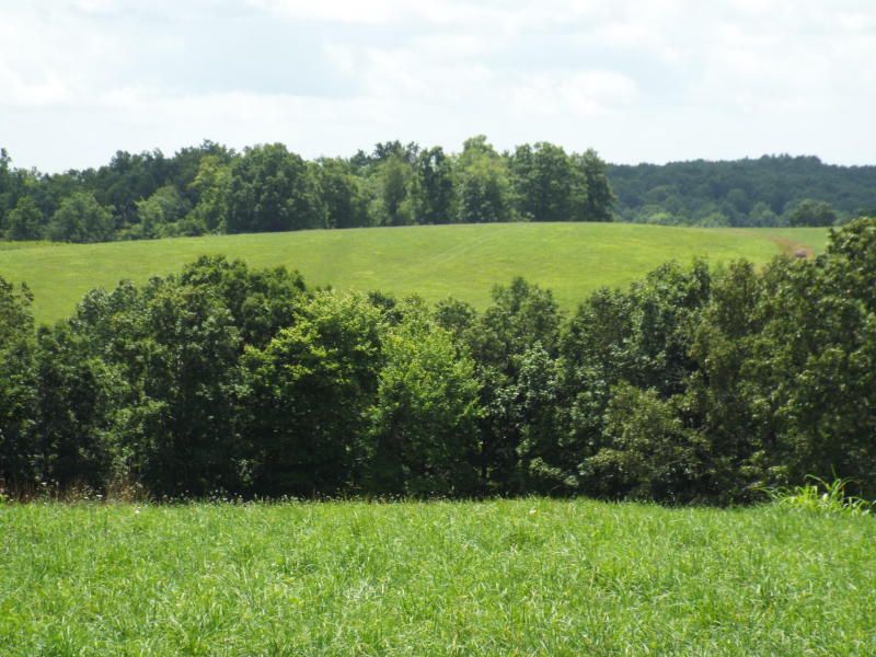 635 Pilot Mountain Rd, Sunbright, TN 37872
