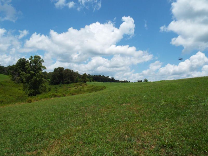 635 Pilot Mountain Rd, Sunbright, TN 37872