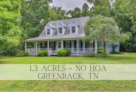 636 Henry Ln, Greenback, TN 37742