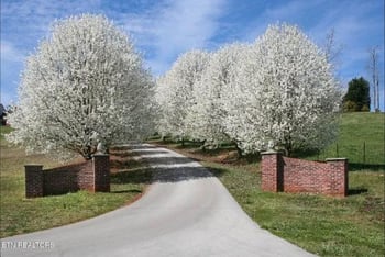 637 Abbey Way, Friendsville, TN 37737