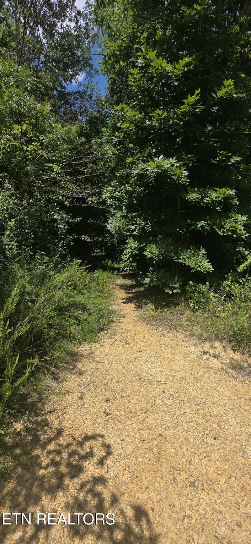 638 Jane Phillips Rd, Oneida, TN 37841