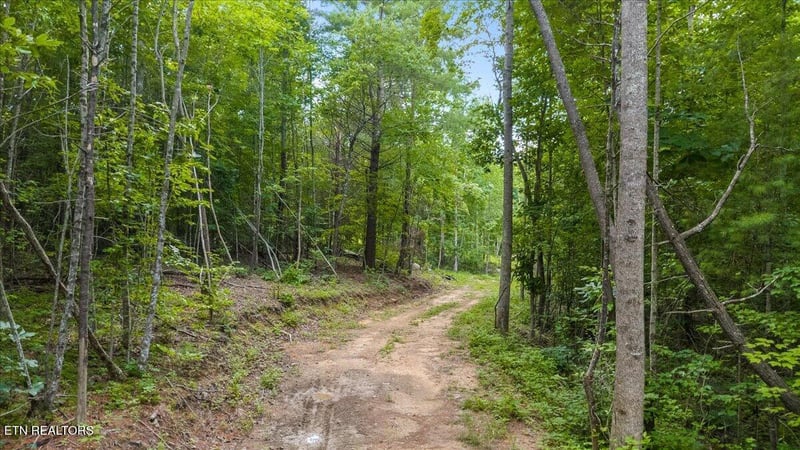 638 Jane Phillips Rd, Oneida, TN 37841