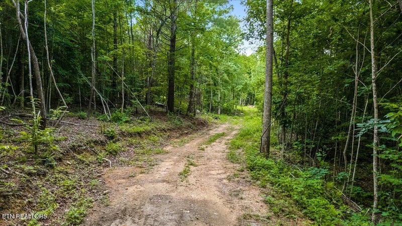 638 Jane Phillips Rd, Oneida, TN 37841