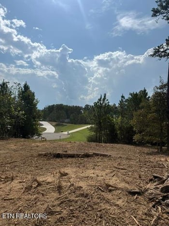 638 Red Hill Ln, Greenback, TN 37742