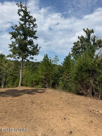 638 Red Hill Ln, Greenback, TN 37742