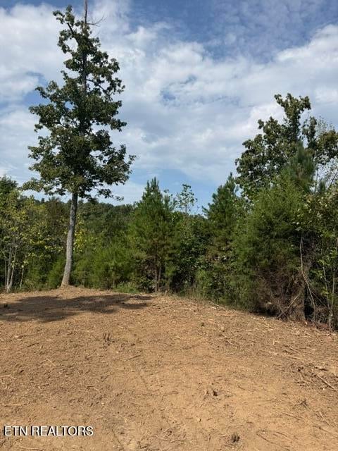 638 Red Hill Ln, Greenback, TN 37742