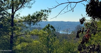 638 Red Hill Ln, Greenback, TN 37742