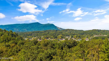 641 Country Oaks Dr, Pigeon Forge, TN 37863