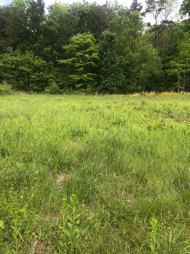 6414 Maloneyville Rd, Corryton, TN 37721