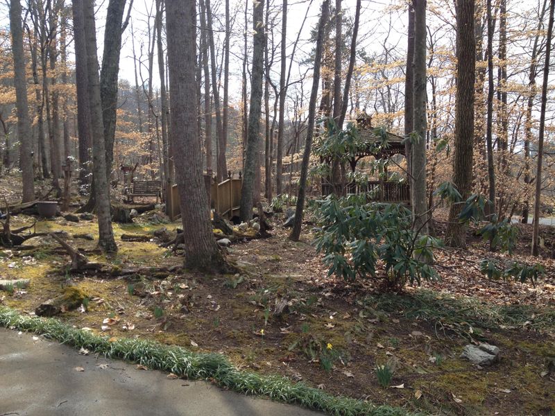6426 Stormer, Knoxville, TN 37918