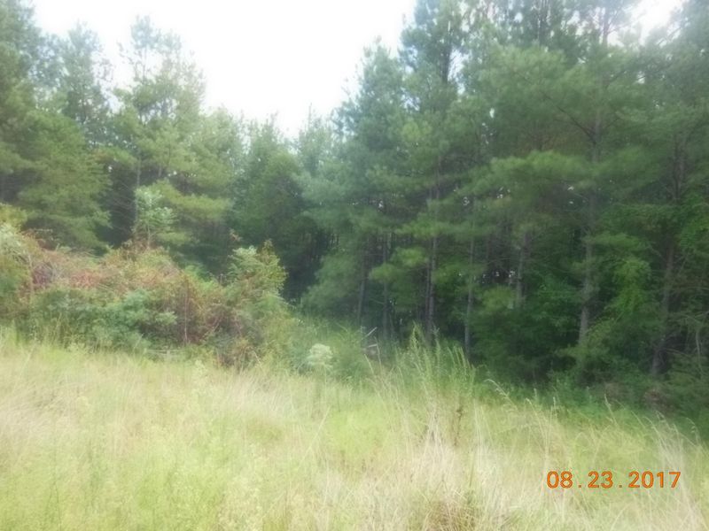 643 Co Rd 102, Athens, TN 37303