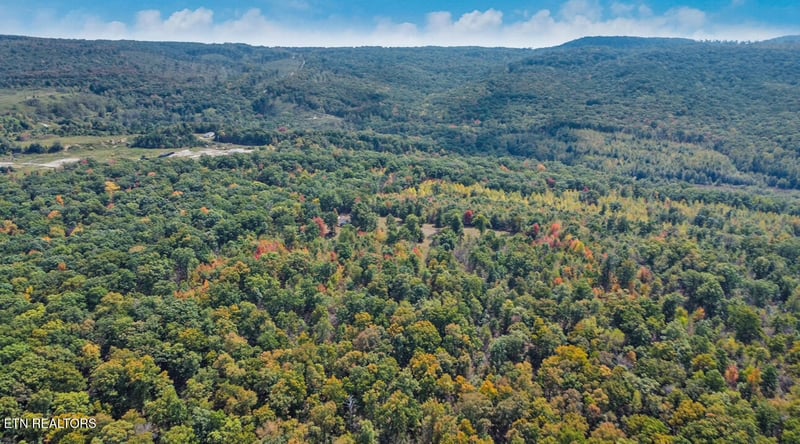 6436 Smith Mountain Rd, Crab Orchard, TN 37723