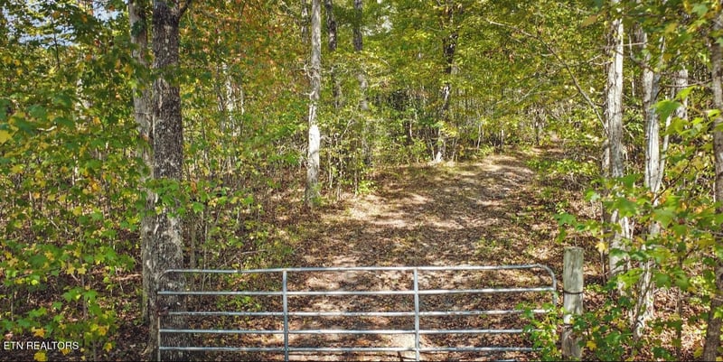 6436 Smith Mountain Rd, Crab Orchard, TN 37723