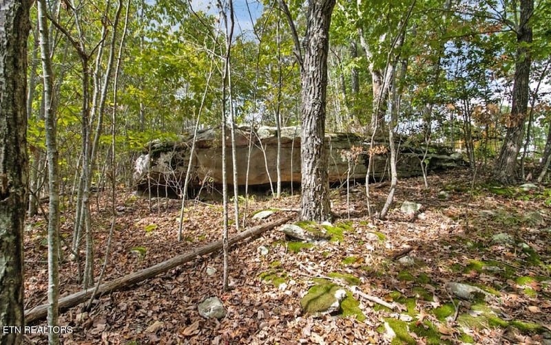 6436 Smith Mountain Rd, Crab Orchard, TN 37723