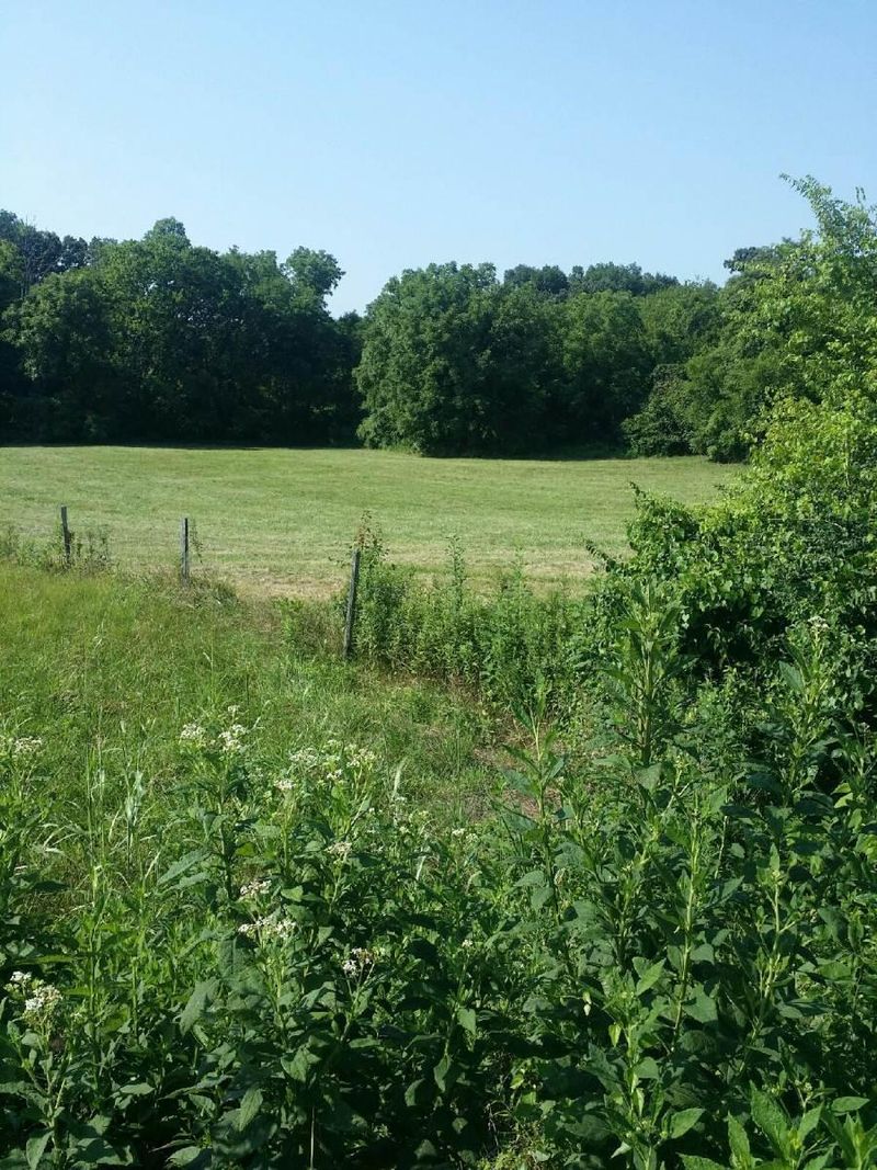 6443 Morganton Rd, Greenback, TN 37742