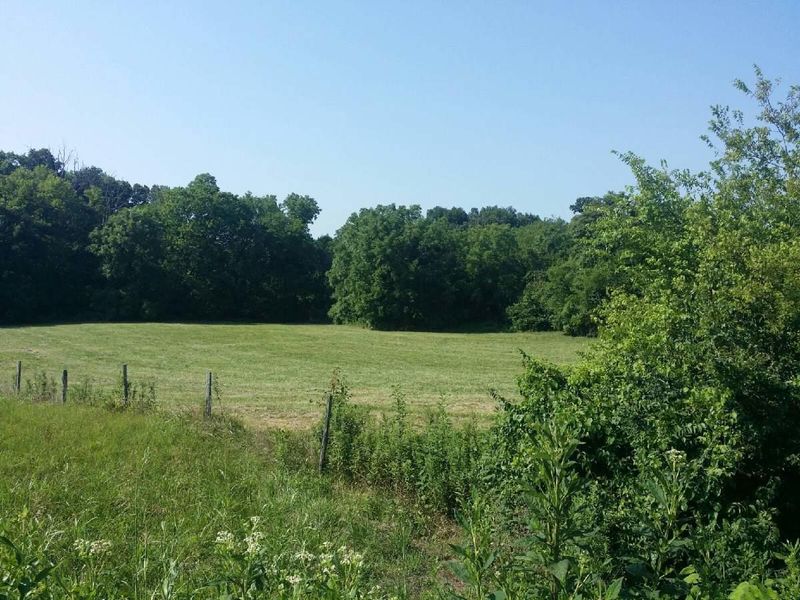 6443 Morganton Rd, Greenback, TN 37742