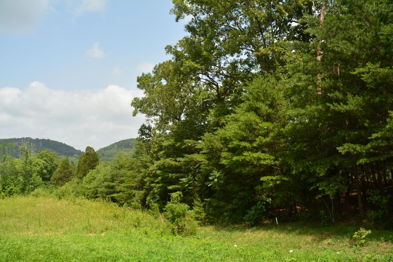 6446 Christian Springs Dr, Corryton, TN 37721