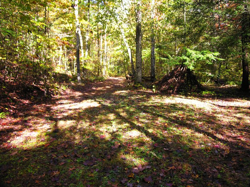 645 Towee Falls Rd, Tellico Plains, TN 37385