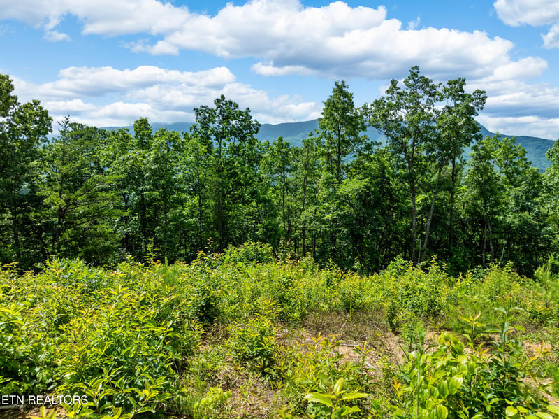 648 Almost Heaven Way, Gatlinburg, TN 37738