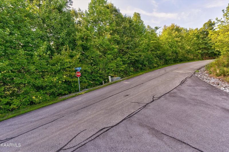 64E Redtail Rd, Sevierville, TN 37862