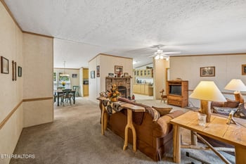 650 Gamble Gap Rd, Tellico Plains, TN 37385