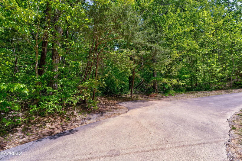 650 Silver Poplar Ln, Sevierville, TN 37876