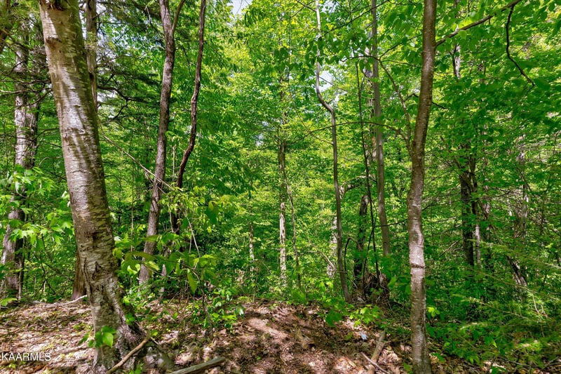 650 Silver Poplar Ln, Sevierville, TN 37876